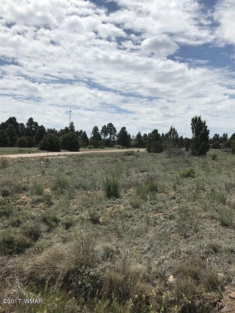 2263 Sitgreaves St, Overgaard, AZ 85933 photo 3