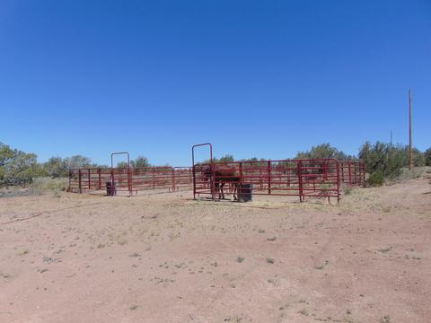 8539 E Concho Hwy, Snowflake, AZ 85937 photo 36