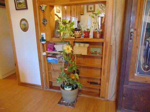 8539 E Concho Hwy, Snowflake, AZ 85937 photo 28
