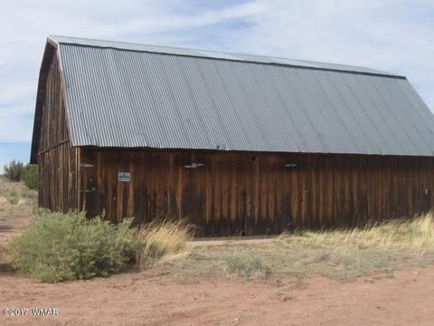 8539 E Concho Hwy, Snowflake, AZ 85937 photo 5