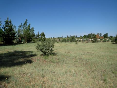 2714 Bain Trl, Overgaard, AZ 85933 photo 1