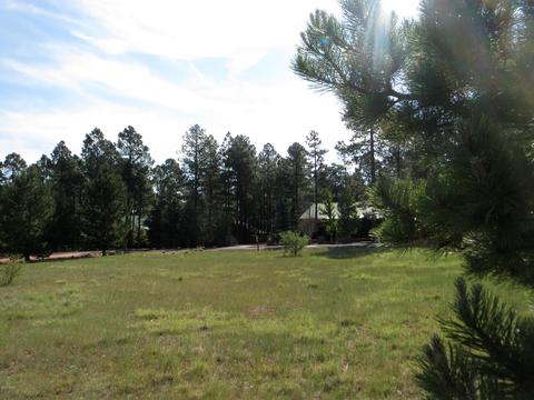 2714 Bain Trl, Overgaard, AZ 85933 photo 6