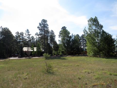2714 Bain Trl, Overgaard, AZ 85933 photo 7