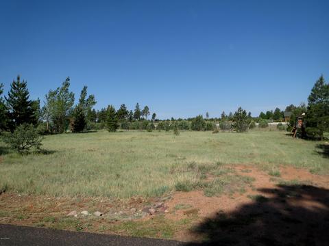 2714 Bain Trl, Overgaard, AZ 85933 photo 2