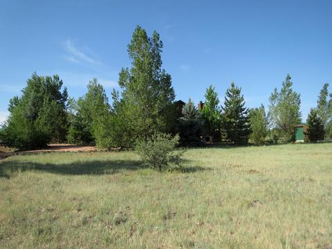 2714 Bain Trl, Overgaard, AZ 85933 photo 4