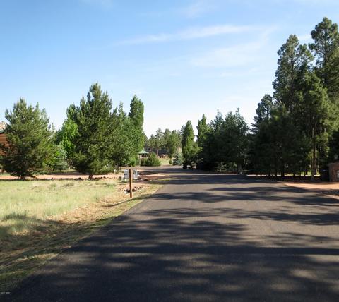 2714 Bain Trl, Overgaard, AZ 85933 photo 9