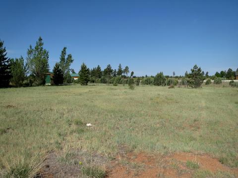 2714 Bain Trl, Overgaard, AZ 85933 photo 3