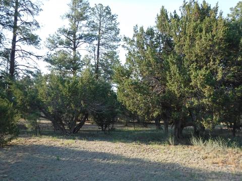 1928 Chevelon Rd, Overgaard, AZ 85933 photo 2