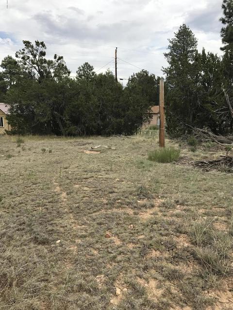 3551 Broken Arrow Rd, Overgaard, AZ 85933 photo 1