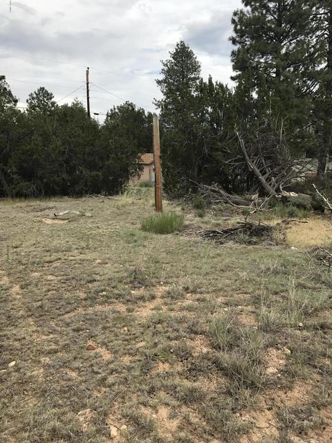 3551 Broken Arrow Rd, Overgaard, AZ 85933 photo 2