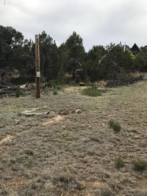 3551 Broken Arrow Rd, Overgaard, AZ 85933 photo 3