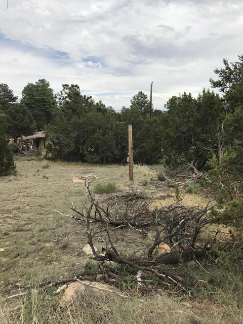 3551 Broken Arrow Rd, Overgaard, AZ 85933 photo 4
