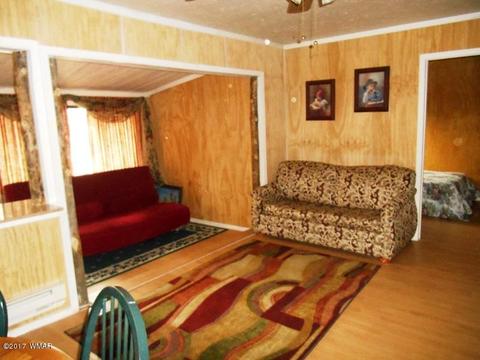 3431 Top View Rd, Overgaard, AZ 85933 photo 6