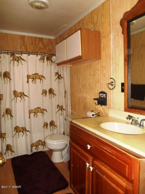 3431 Top View Rd, Overgaard, AZ 85933 photo 12