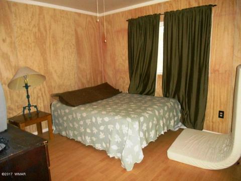 3431 Top View Rd, Overgaard, AZ 85933 photo 10
