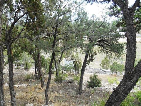 3431 Top View Rd, Overgaard, AZ 85933 photo 14