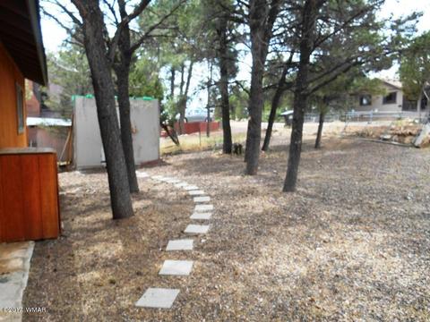 3431 Top View Rd, Overgaard, AZ 85933 photo 17