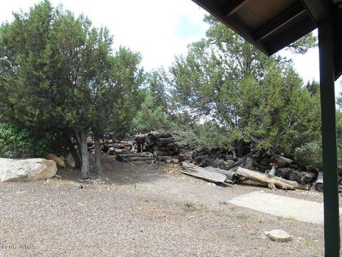 3431 Top View Rd, Overgaard, AZ 85933 photo 16
