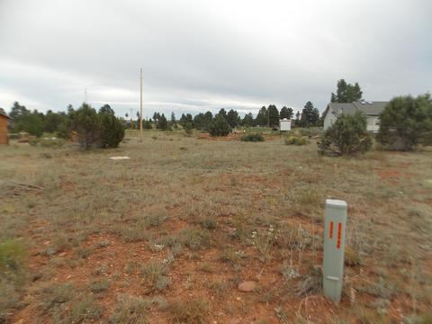2251 Sitgreaves Dr, Overgaard, AZ 85933 photo 6