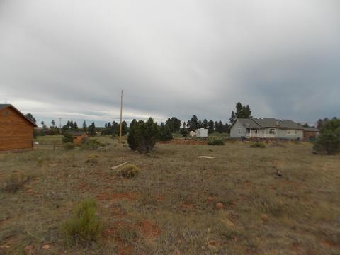 2251 Sitgreaves Dr, Overgaard, AZ 85933 photo 3