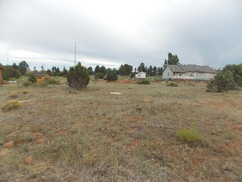 2251 Sitgreaves Dr, Overgaard, AZ 85933 photo 4