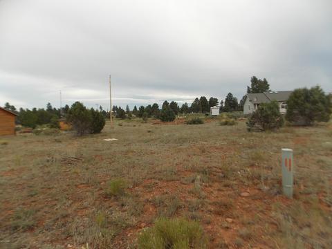 2251 Sitgreaves Dr, Overgaard, AZ 85933 photo 5