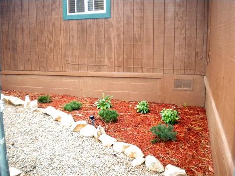 2925 Deer Trl, Overgaard, AZ 85933 photo 36