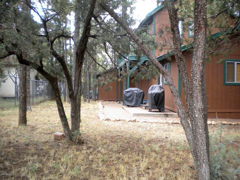 2925 Deer Trl, Overgaard, AZ 85933 photo 25