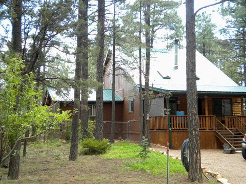 2925 Deer Trl, Overgaard, AZ 85933 photo 24