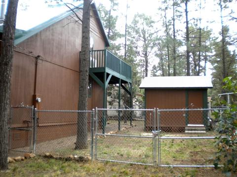 2925 Deer Trl, Overgaard, AZ 85933 photo 29