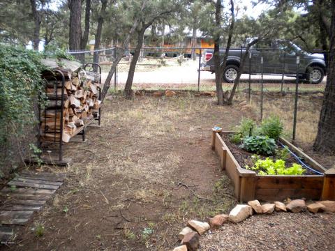 2925 Deer Trl, Overgaard, AZ 85933 photo 35