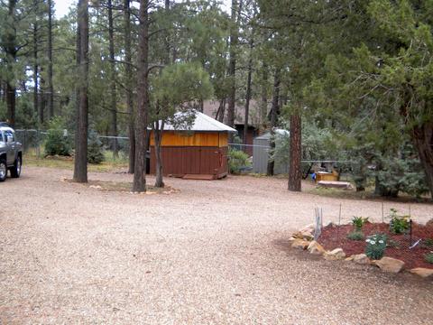 2925 Deer Trl, Overgaard, AZ 85933 photo 23