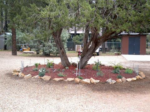 2925 Deer Trl, Overgaard, AZ 85933 photo 22