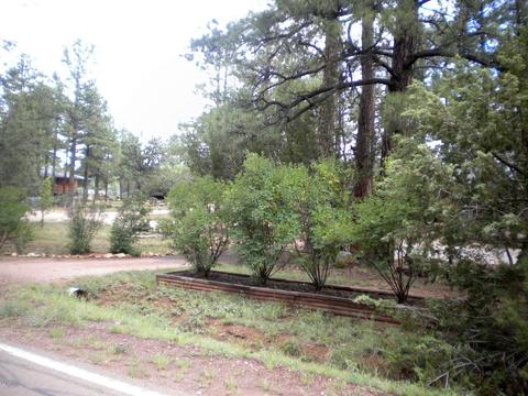 2925 Deer Trl, Overgaard, AZ 85933 photo 20