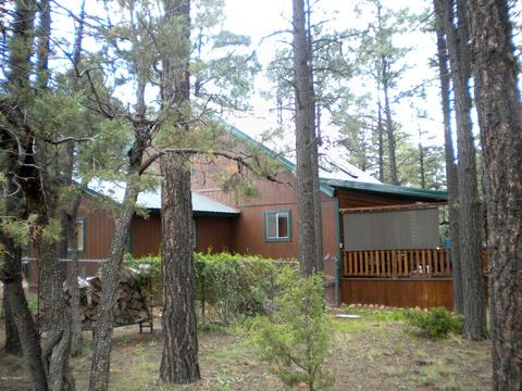 2925 Deer Trl, Overgaard, AZ 85933 photo 38