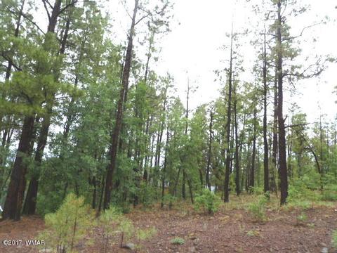 492 E Iris Ln, Pinetop, AZ 85935 photo 2