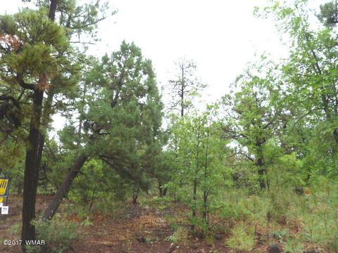 492 E Iris Ln, Pinetop, AZ 85935 photo 1