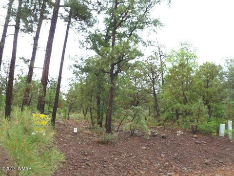 492 E Iris Ln, Pinetop, AZ 85935 photo 3