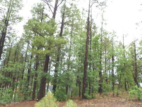 492 E Iris Ln, Pinetop, AZ 85935 photo 4