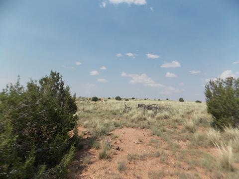 3716 Thomas Rd, Snowflake, AZ 85937 photo 1
