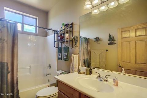 2748 Pine View Ct, Overgaard, AZ 85933 photo 28