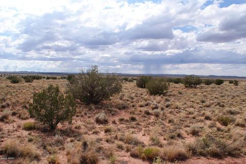 5394 Clyde Rd, Snowflake, AZ 85937 photo 2