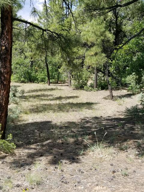 740 S Falling Leaf Rd, Show Low, AZ 85901 photo 7