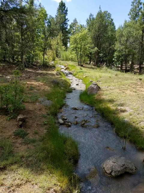 740 S Falling Leaf Rd, Show Low, AZ 85901 photo 2