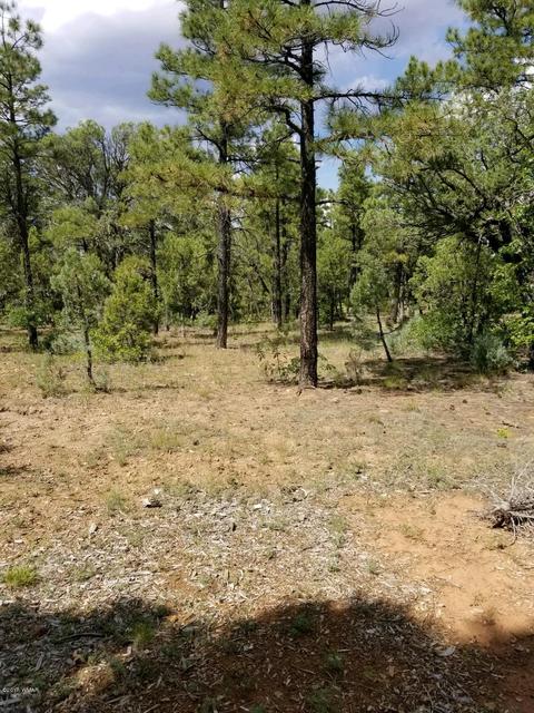 740 S Falling Leaf Rd, Show Low, AZ 85901 photo 5