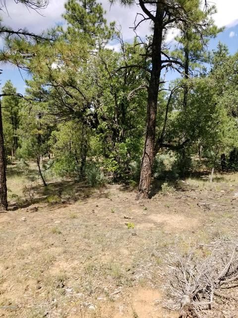 740 S Falling Leaf Rd, Show Low, AZ 85901 photo 6