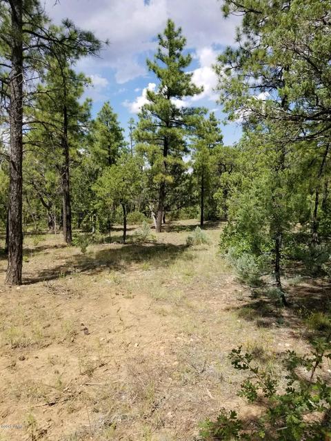 740 S Falling Leaf Rd, Show Low, AZ 85901 photo 4