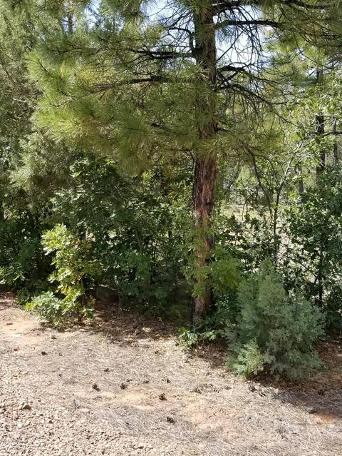 740 S Falling Leaf Rd, Show Low, AZ 85901 photo 9