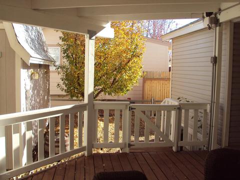 2263 Hanging Tree Ln, Overgaard, AZ 85933 photo 5