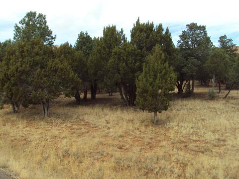 2748 Kittyhawk, Overgaard, AZ 85933 photo 1